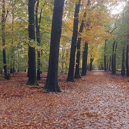 비크버겐 Chalet Wanama. Gelegen Op Het Vakantiepark Het Lierderholt Op De Veluwe. 빌라 외부 사진