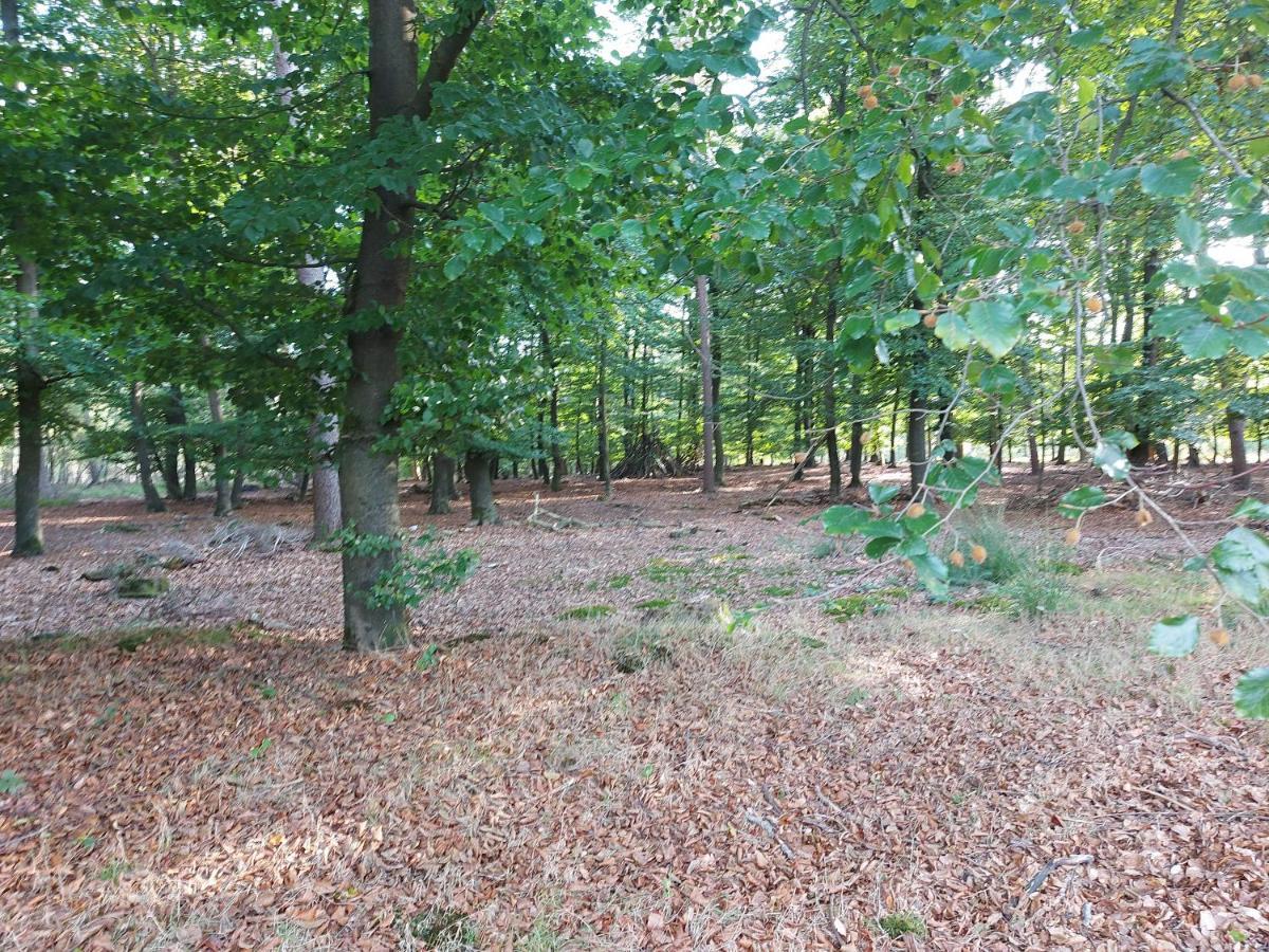 비크버겐 Chalet Wanama. Gelegen Op Het Vakantiepark Het Lierderholt Op De Veluwe. 빌라 외부 사진