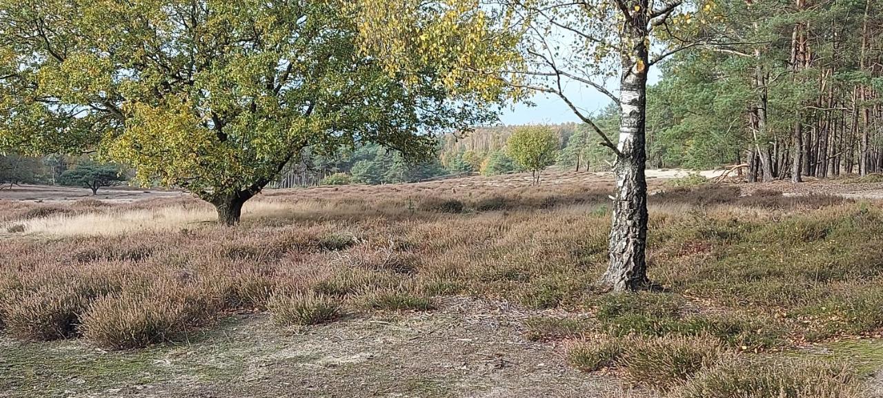 비크버겐 Chalet Wanama. Gelegen Op Het Vakantiepark Het Lierderholt Op De Veluwe. 빌라 외부 사진